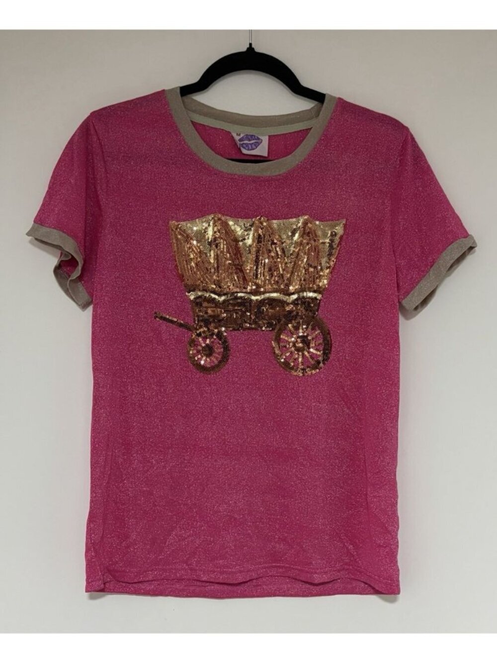 Sparkle City Women’s Pink Short Sleeve Cinderella Carriage Tee Shirt Size Medium